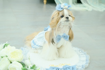 アリス ハートビジューバレッタ