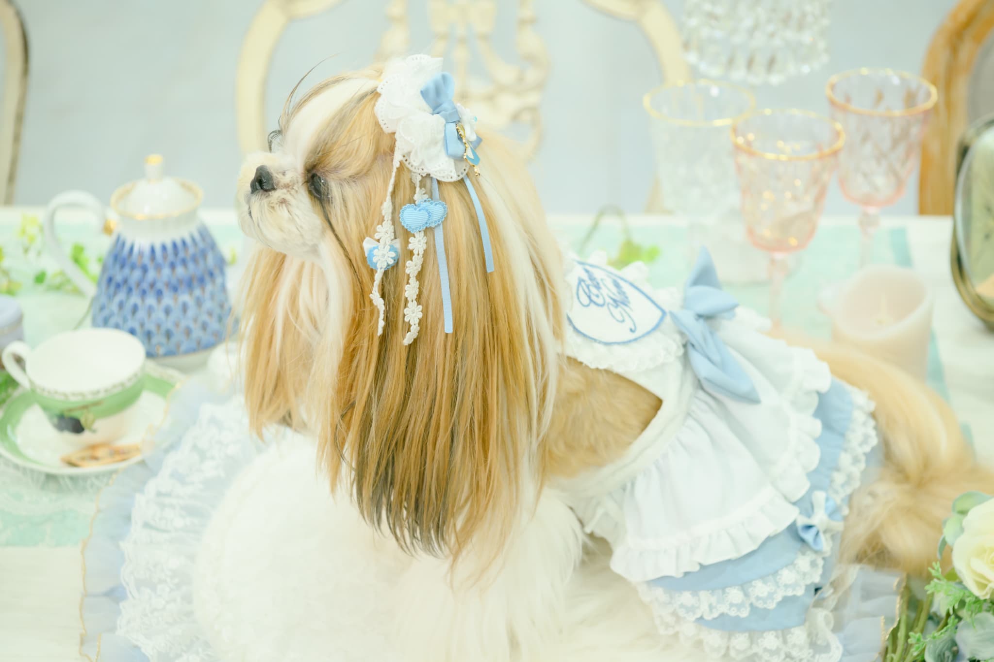 アリス ロングバレッタ