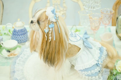 アリス ロングバレッタ