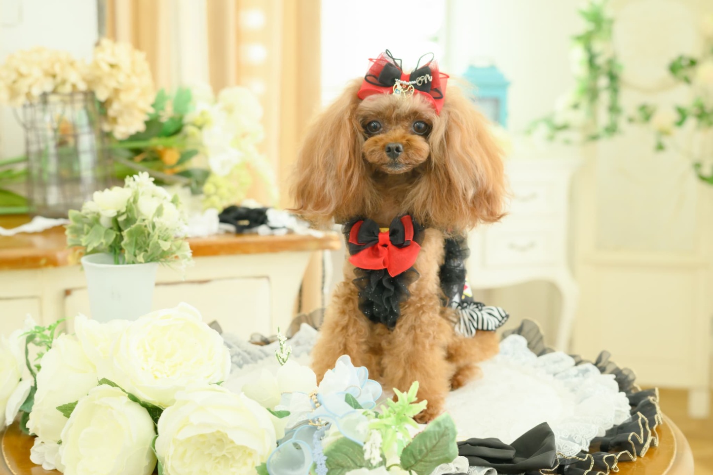 オリジナルアリス柄COOLキャミ