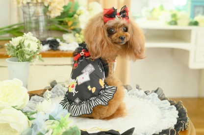 オリジナルアリス柄COOLキャミ