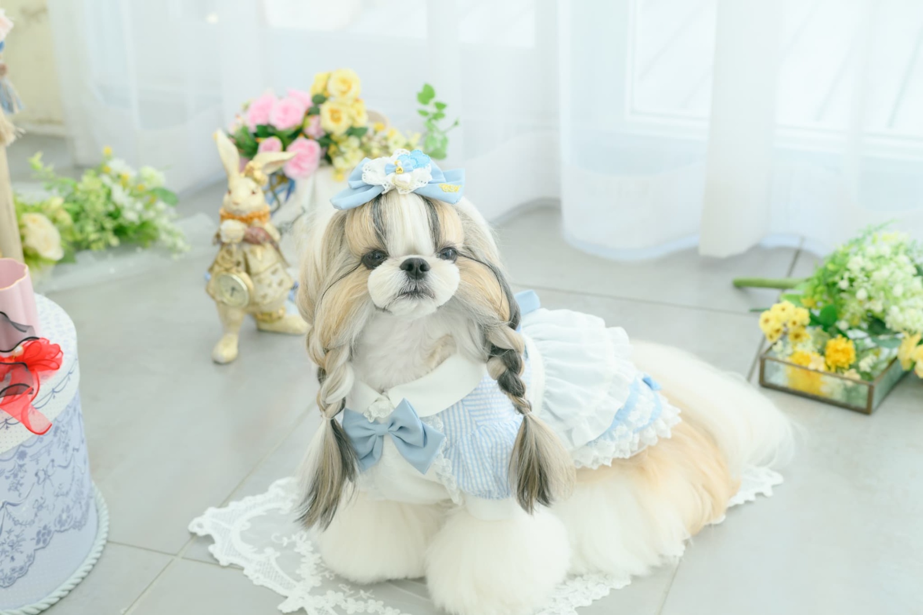 アリス ストライプシャツ ブルー