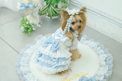 アリス エプロンワンピース（ブルー）