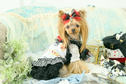 オリジナルアリス柄COOLキャミ