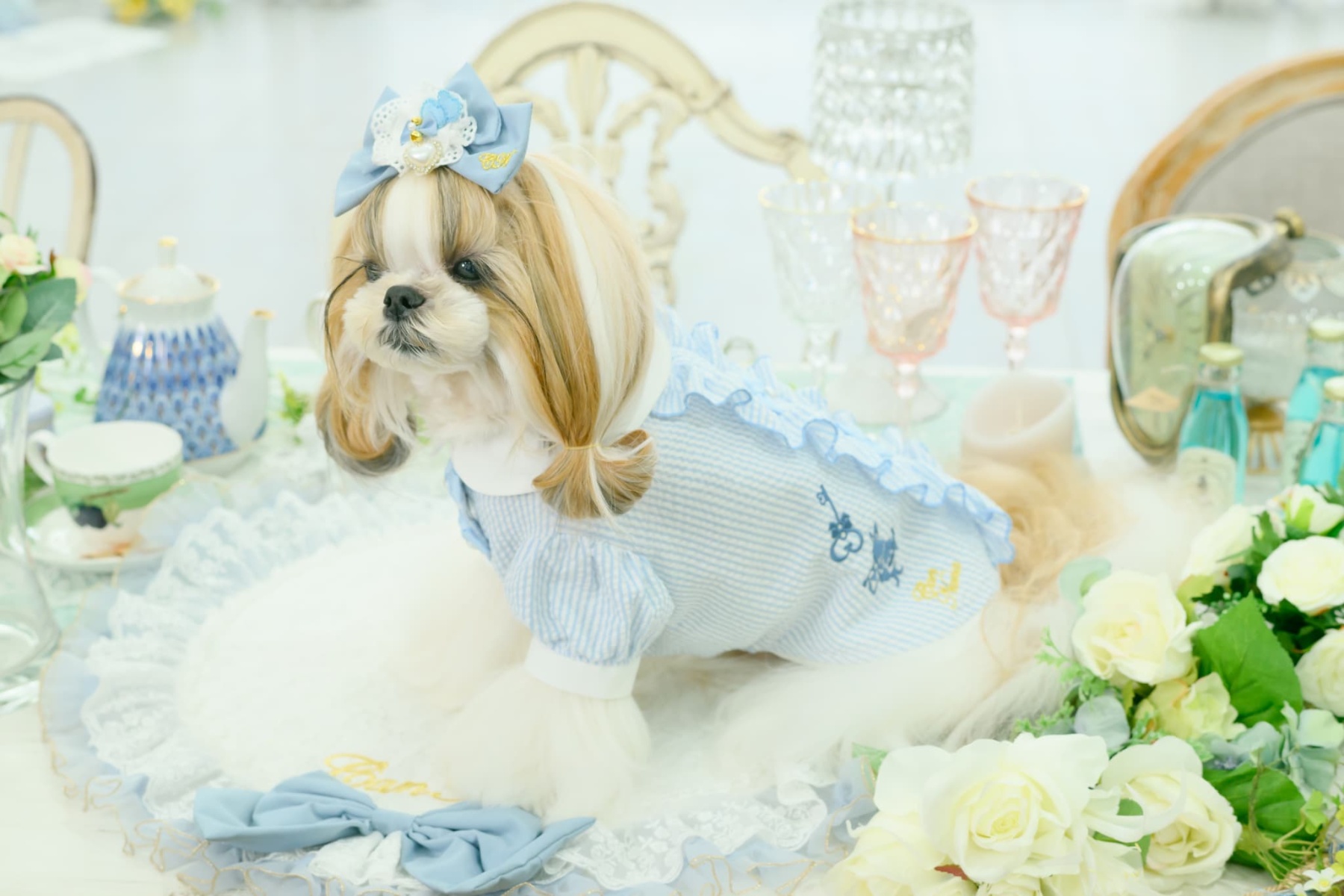 アリス ストライプシャツ ブルー