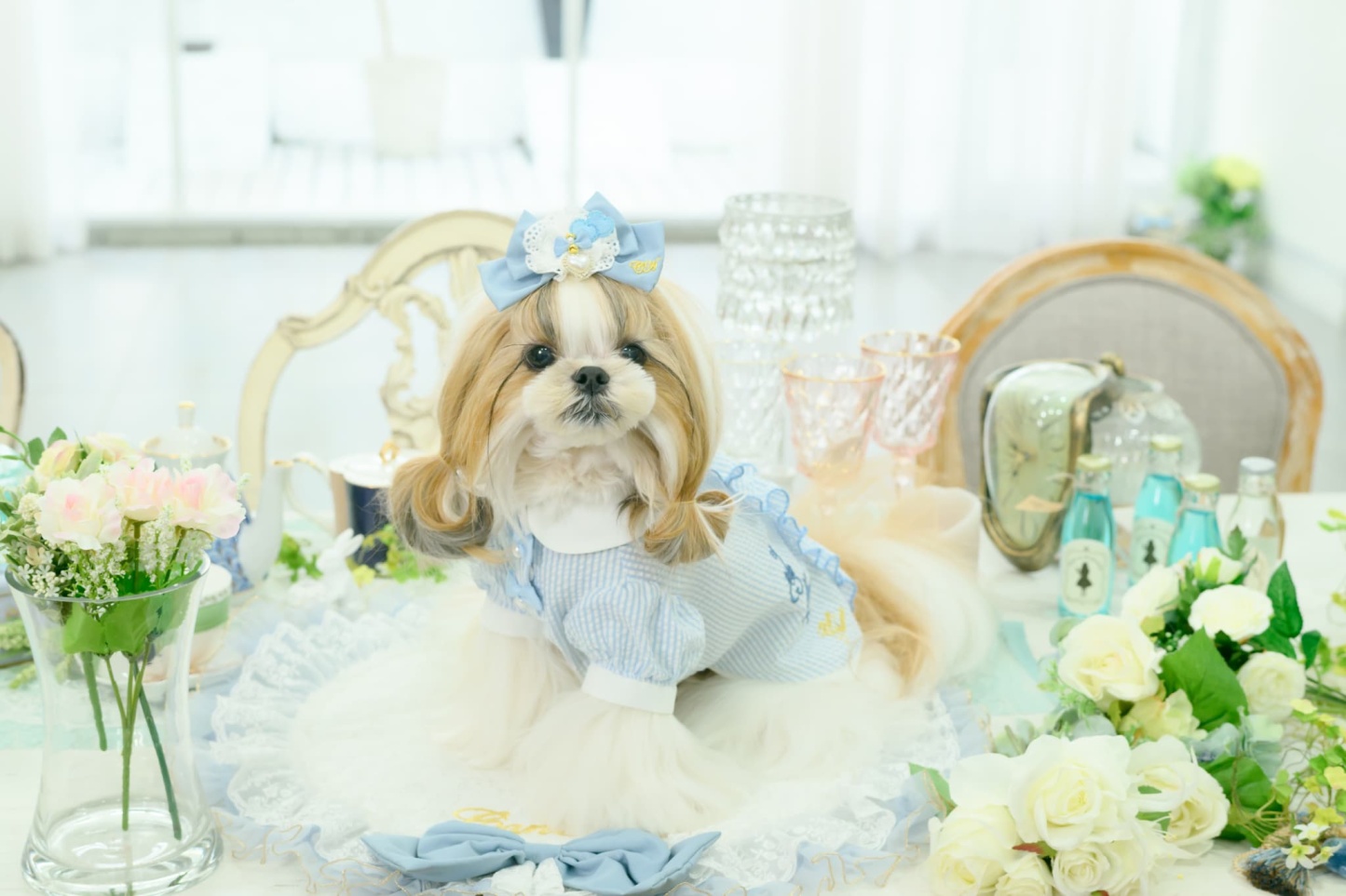 アリス ストライプシャツ ブルー