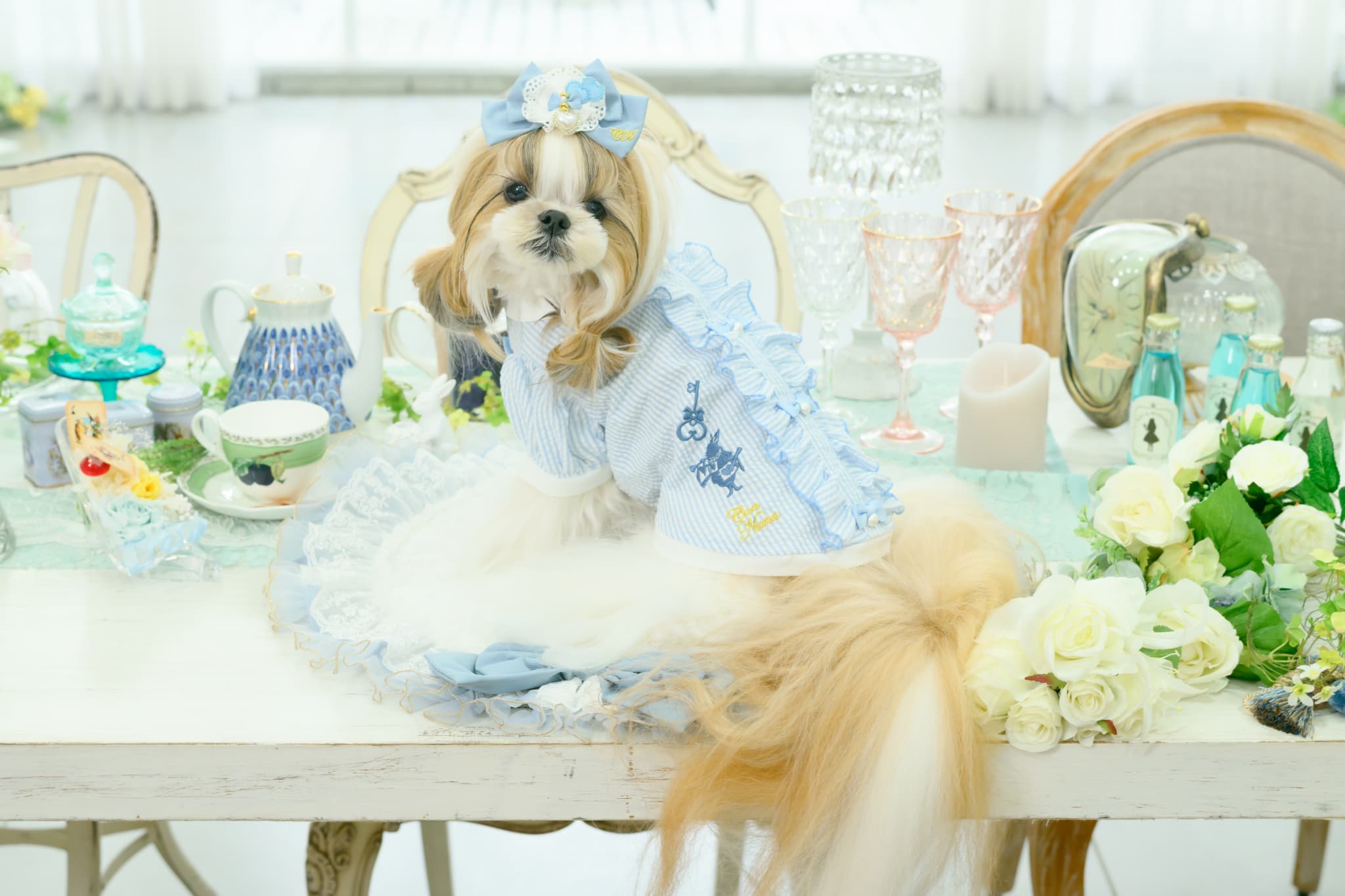 アリス ストライプシャツ ブルー