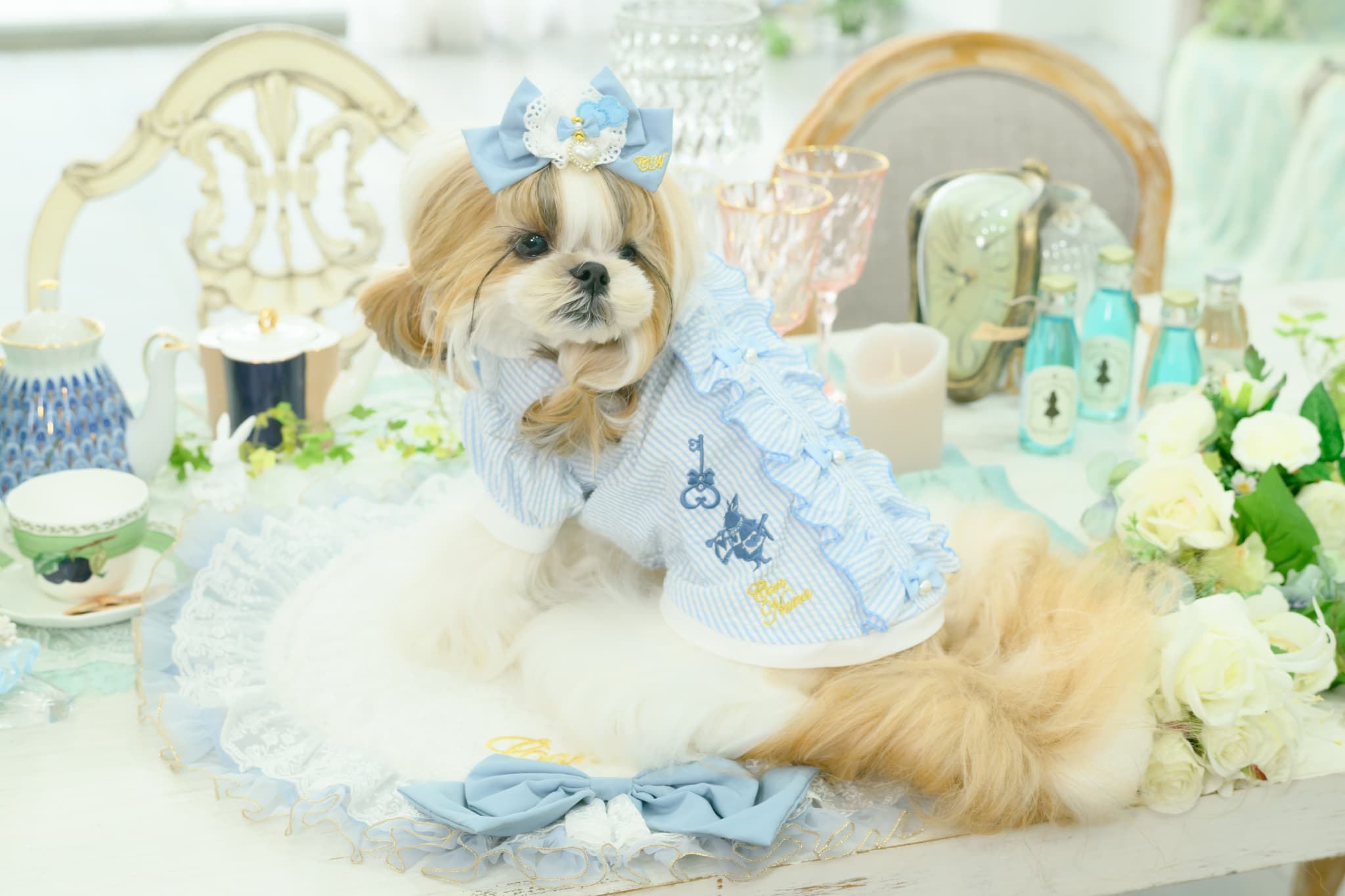 アリス ストライプシャツ ブルー