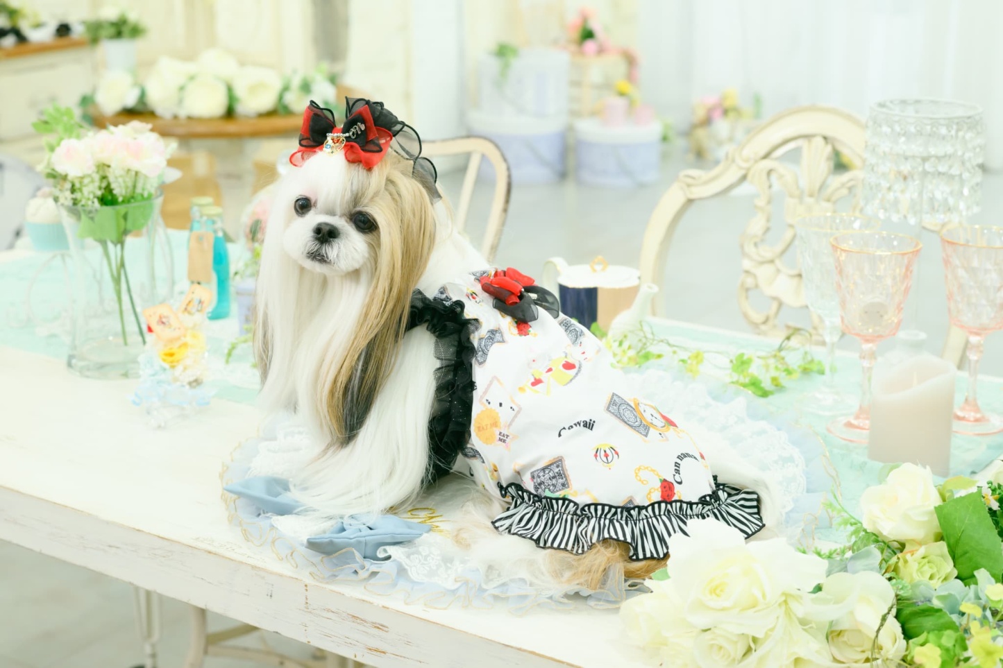 オリジナルアリス柄COOLキャミ