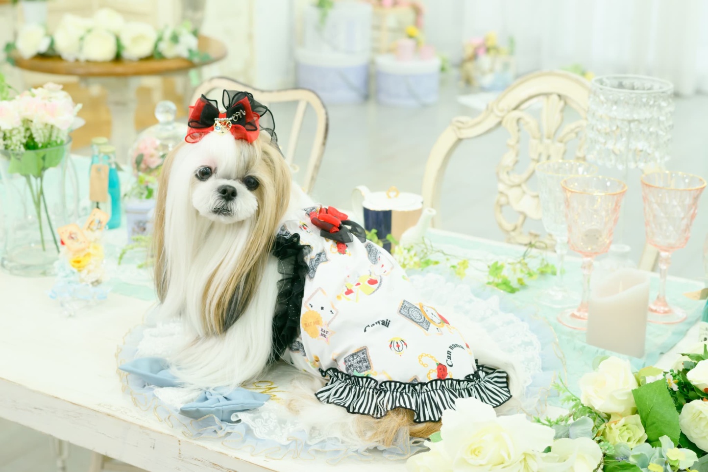 オリジナルアリス柄COOLキャミ