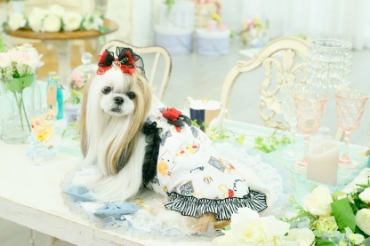 オリジナルアリス柄COOLキャミ