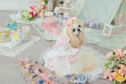 アリス 花冠アクセサリー