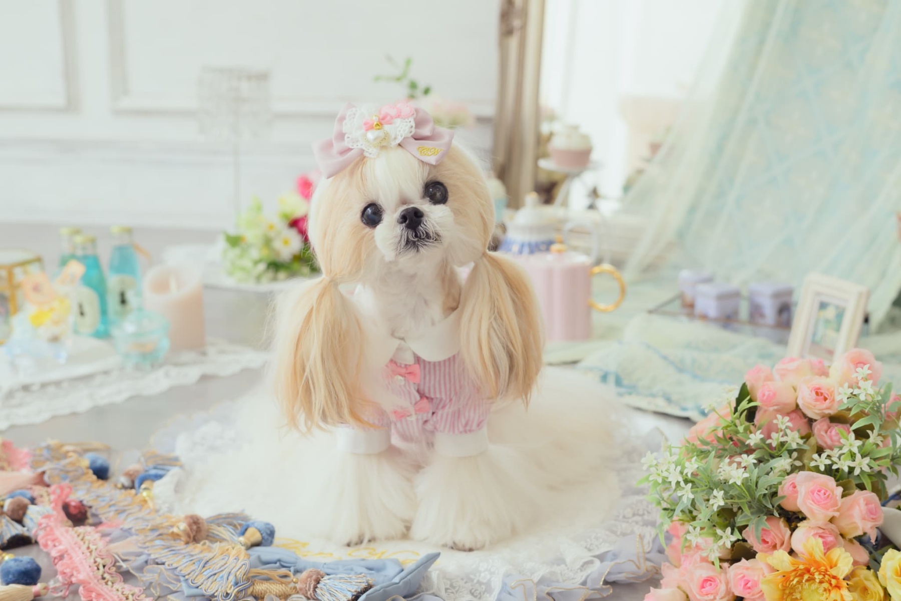 アリス ストライプシャツ（ピンク）