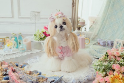 アリス ストライプシャツ（ピンク）