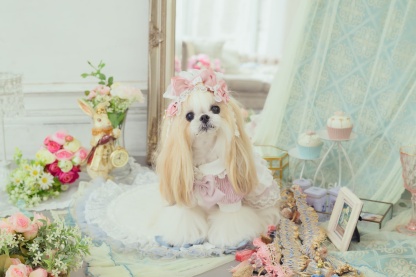 アリス メイド風ヘッドドレス