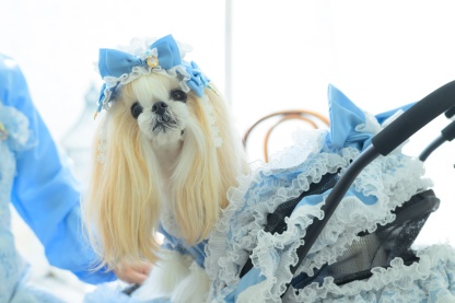 アリス メイド風ヘッドドレス