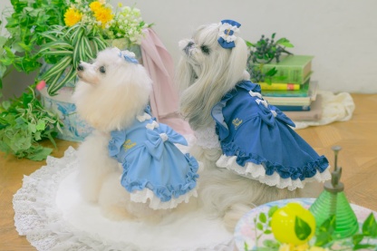 1181ストレッチデニムキャミワンピース