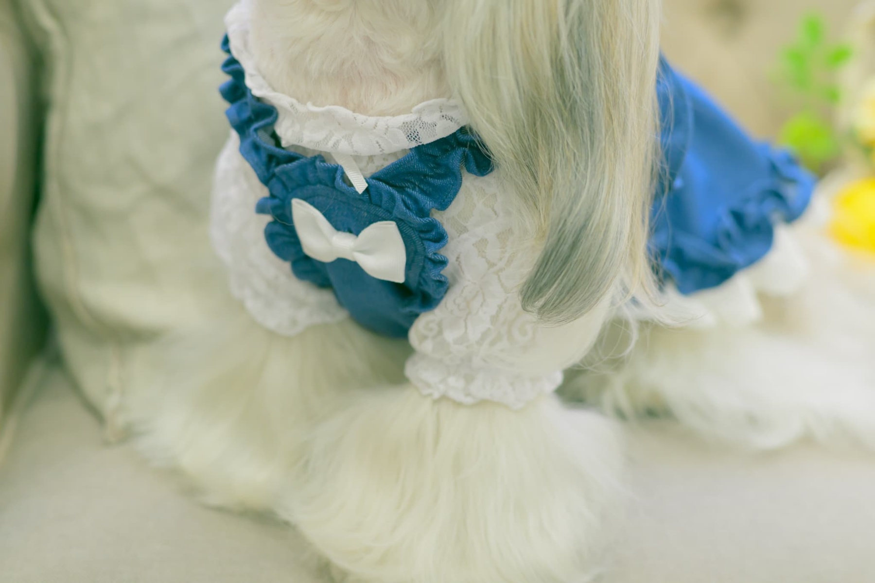 1181ストレッチデニムキャミワンピース