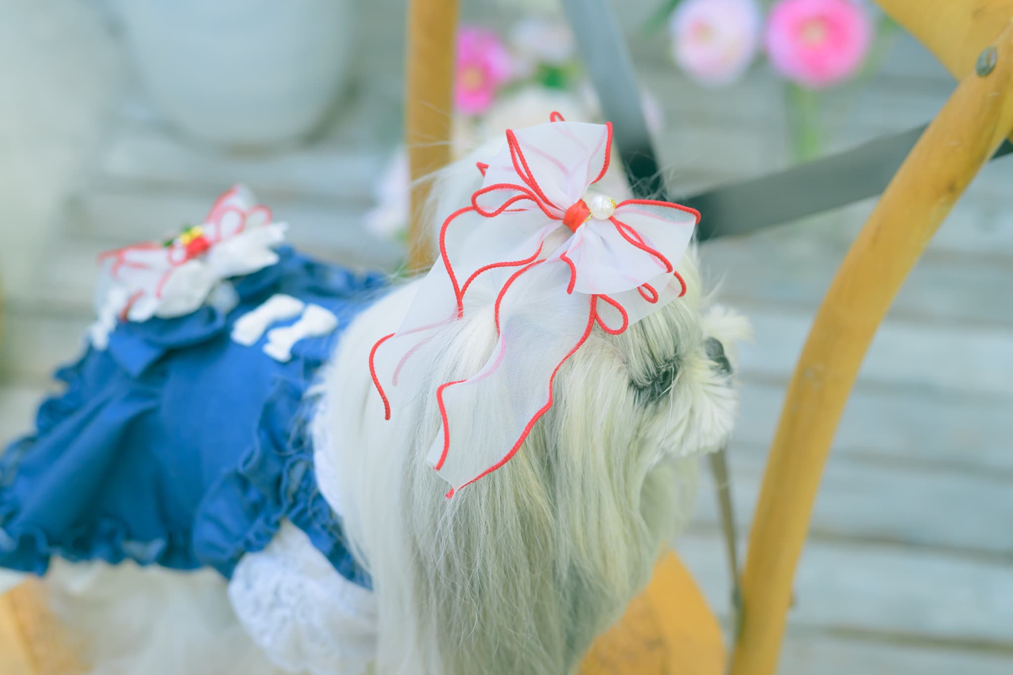 新色　LB-279オーガンジーフリルバレッタリボン