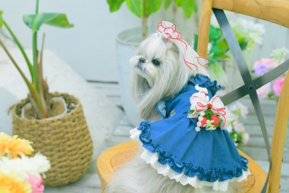 1181ストレッチデニムキャミワンピース