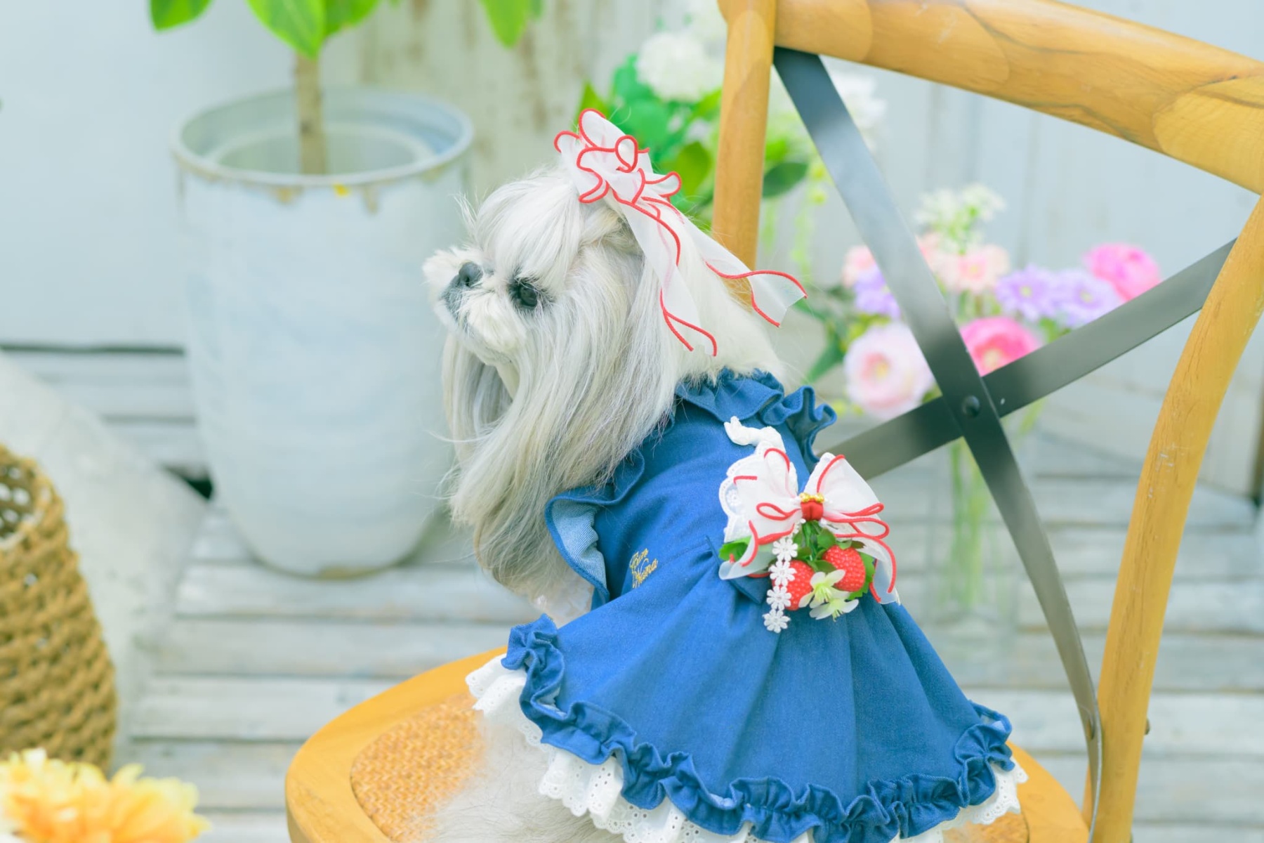 AC-048フレッシュストロベリーブローチ