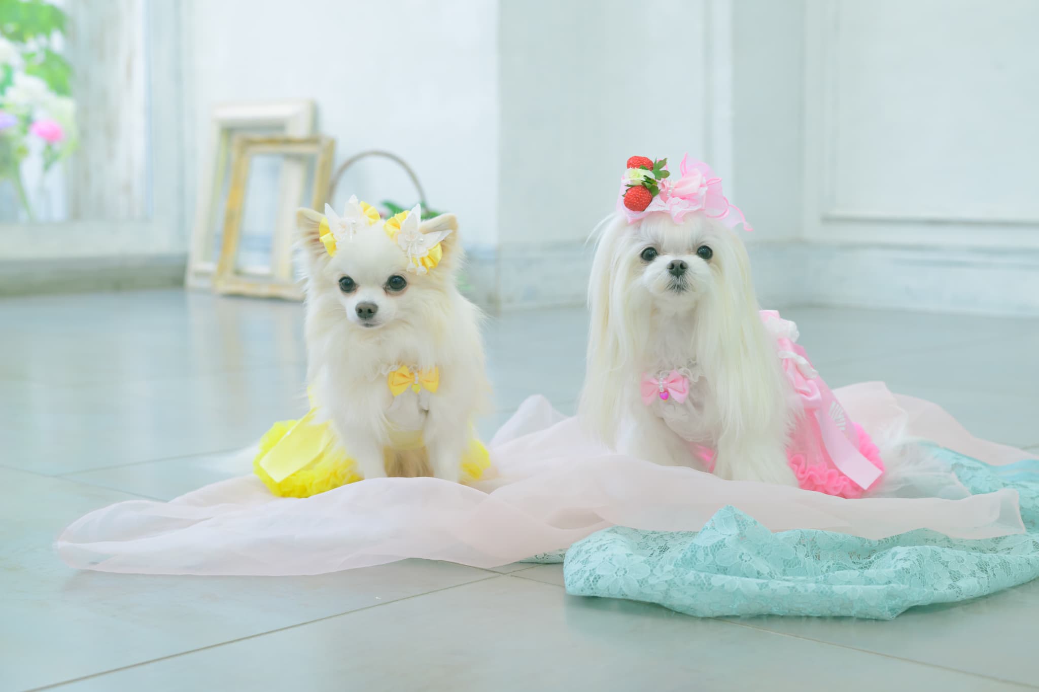 LB-330 フレッシュストロベリーバレッタリボン