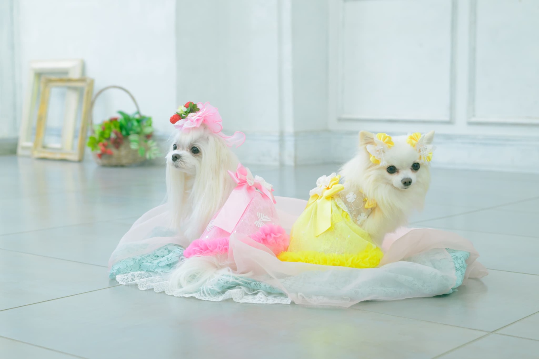 LB-330 フレッシュストロベリーバレッタリボン