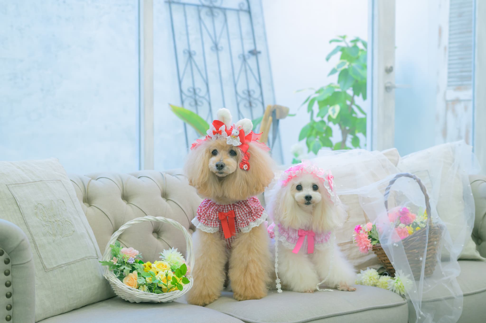 LB-327 うさぎデコカチューシャバレッタリボン