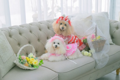 LB-327 うさぎデコカチューシャバレッタリボン