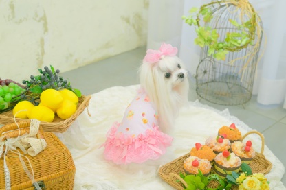 1180オリジナルスイーツ柄COOLワンピース