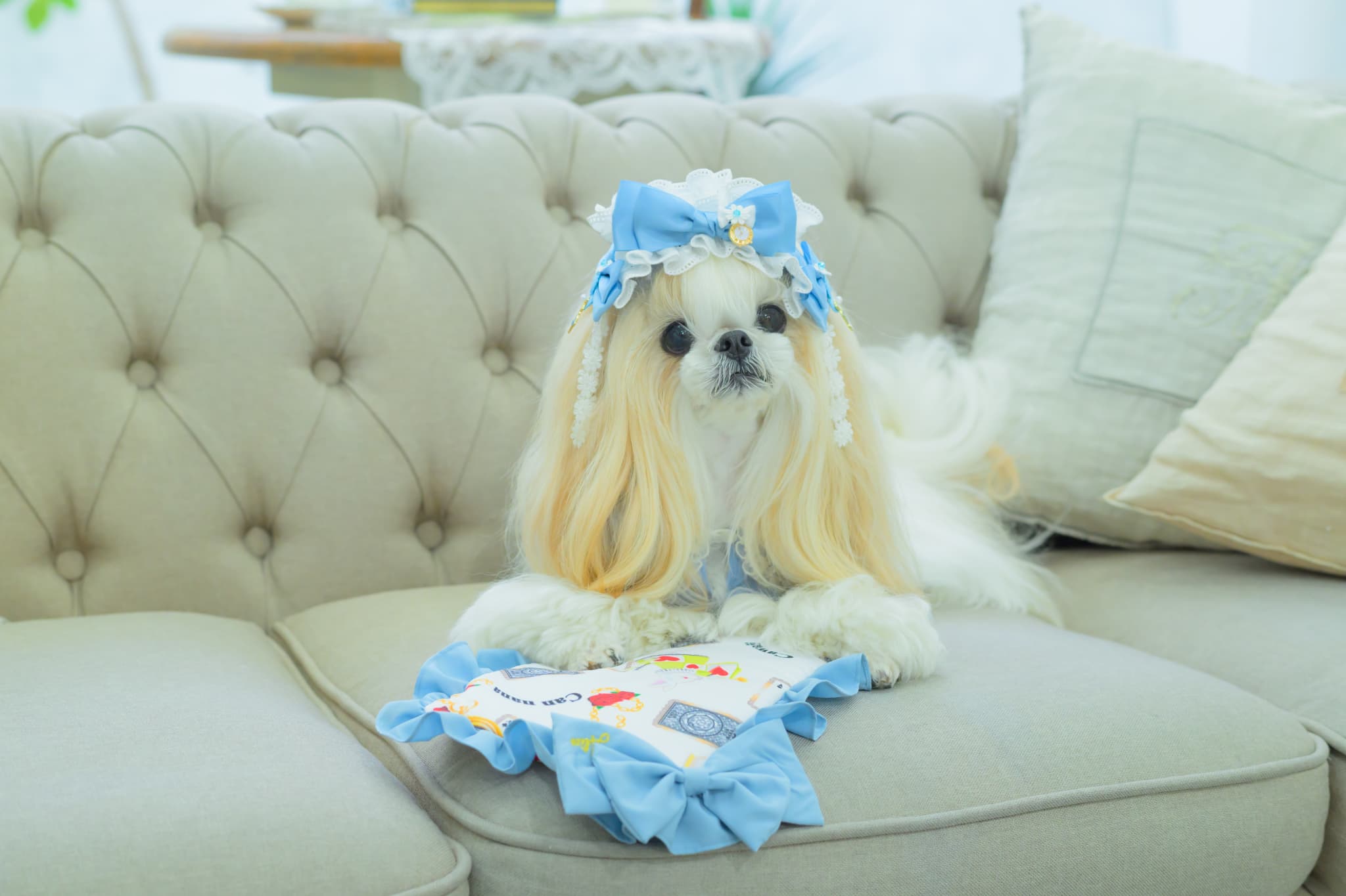 オリジナルアリス柄 COOL ピロー