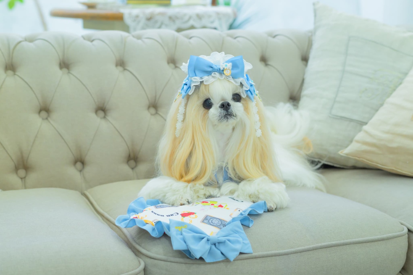 オリジナルアリス柄 COOL ピロー