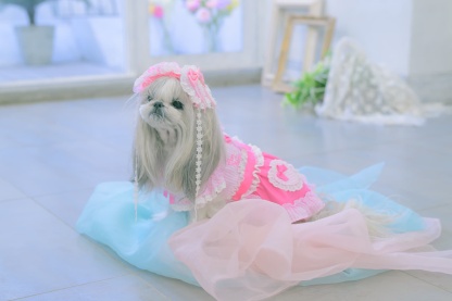 1177 ハートギンガムワンピース