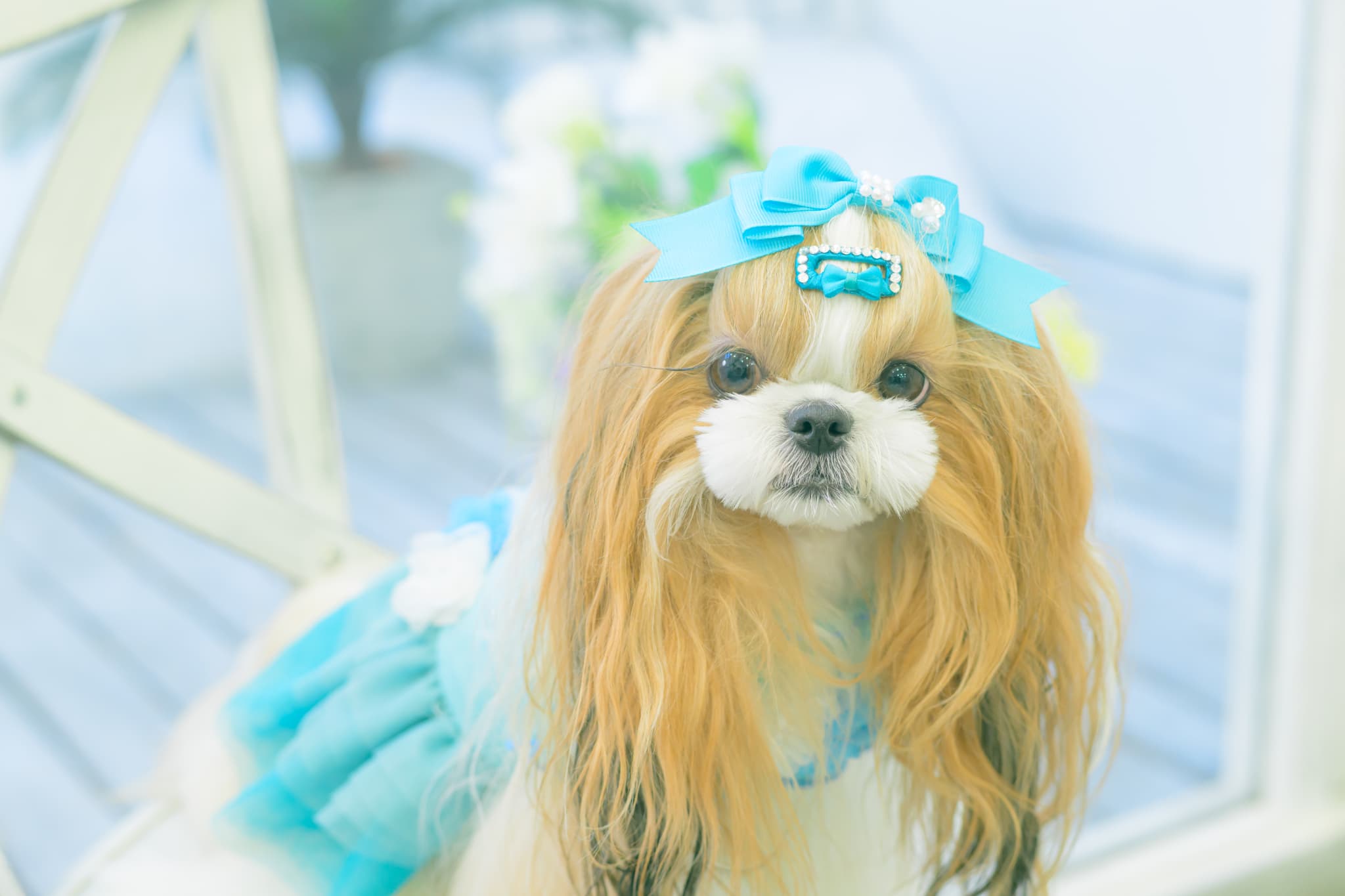 新色【角度一定スタンド式】CanNana姫リボンバレッタ