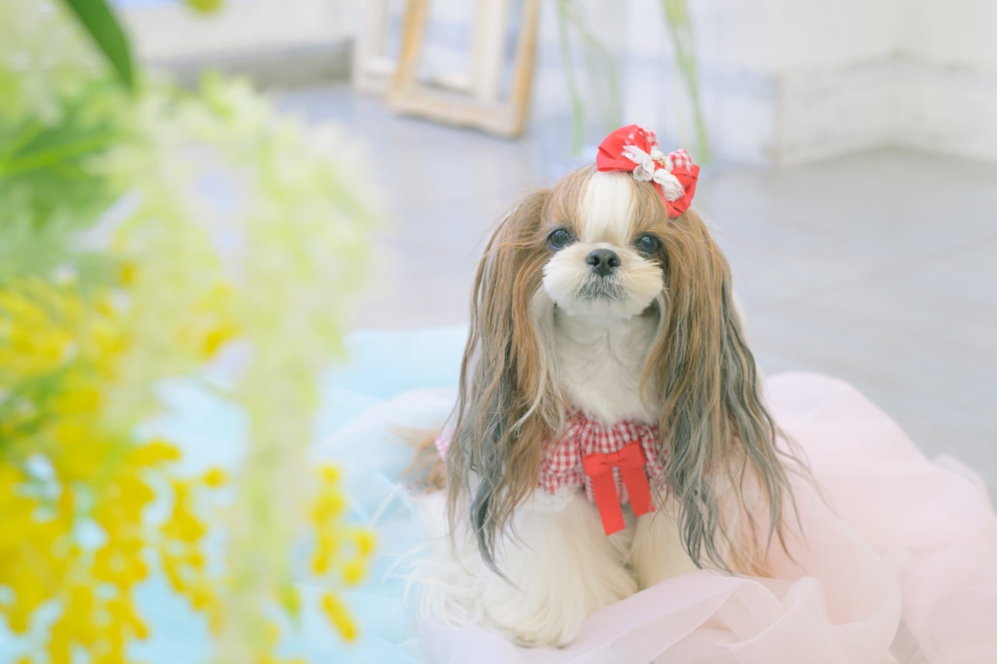 1177 ハートギンガムワンピース