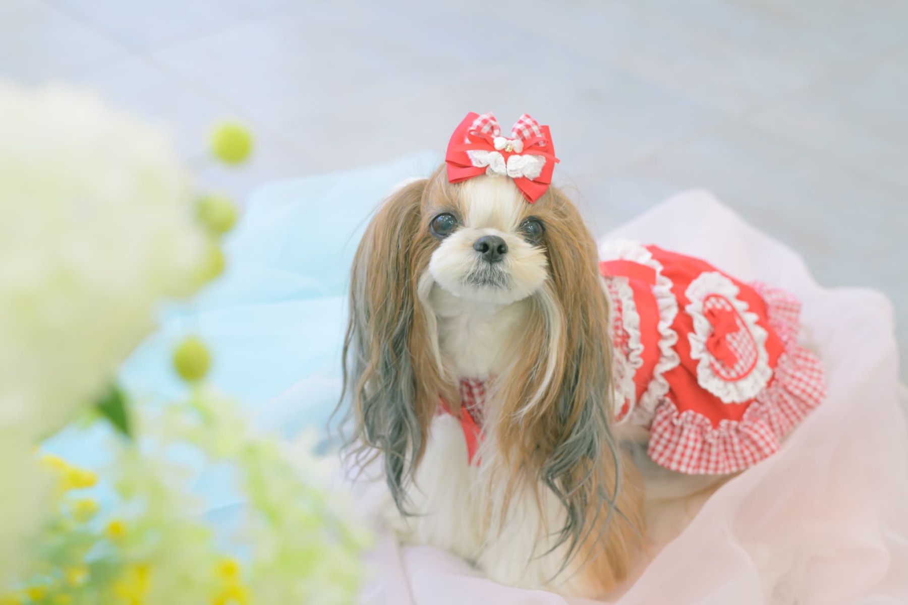 1177 ハートギンガムワンピース