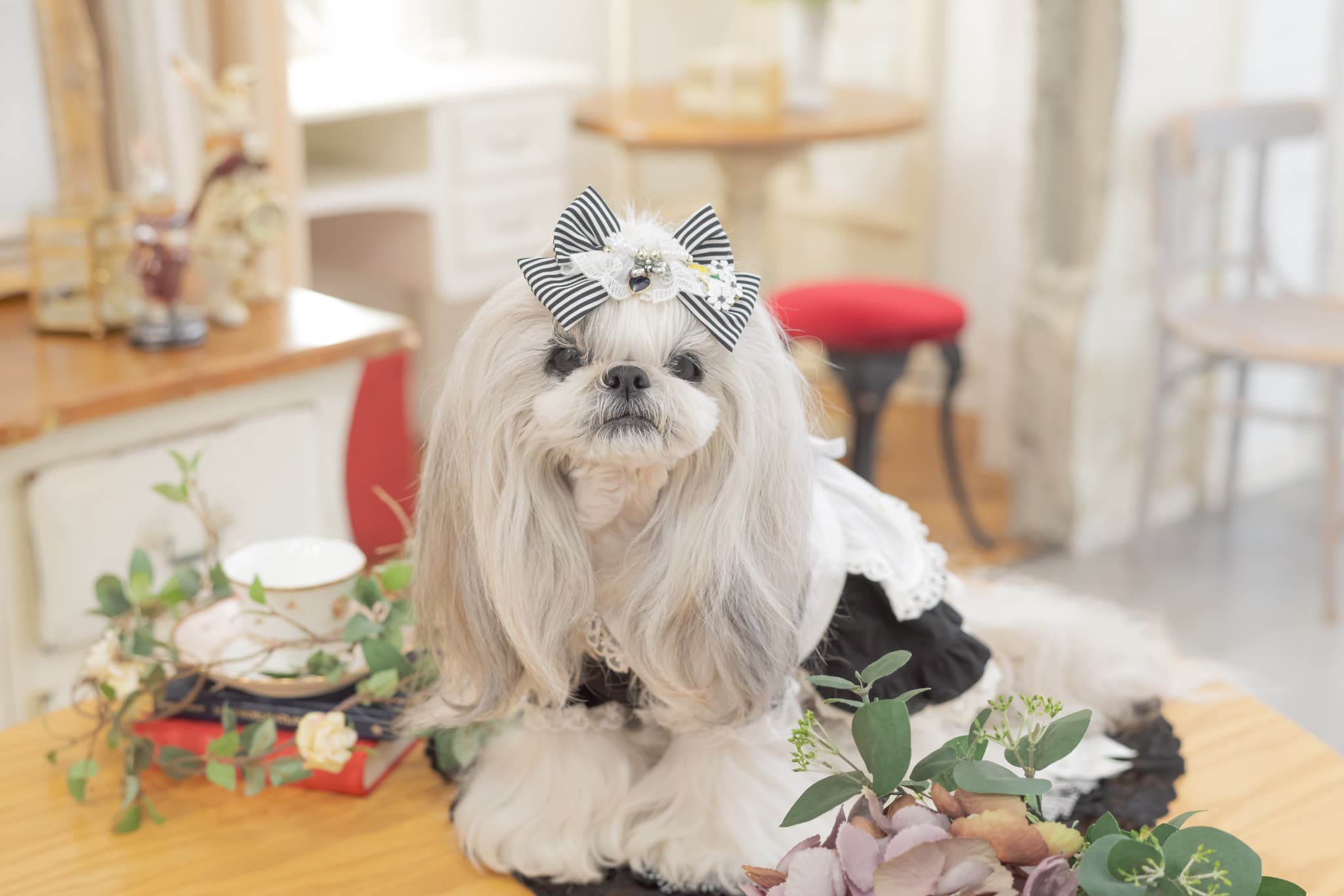 【限定】ブラックストライプアリスバレッタ