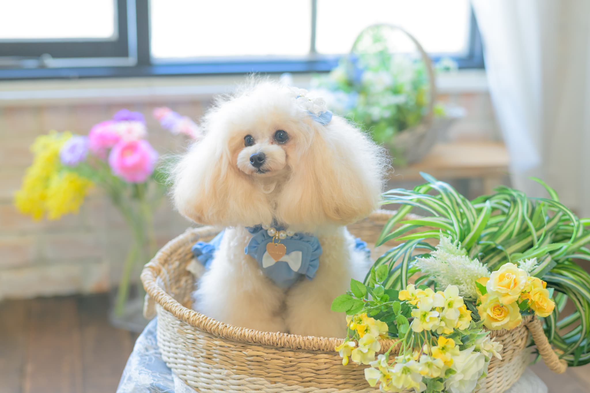 1181ストレッチデニムキャミワンピース