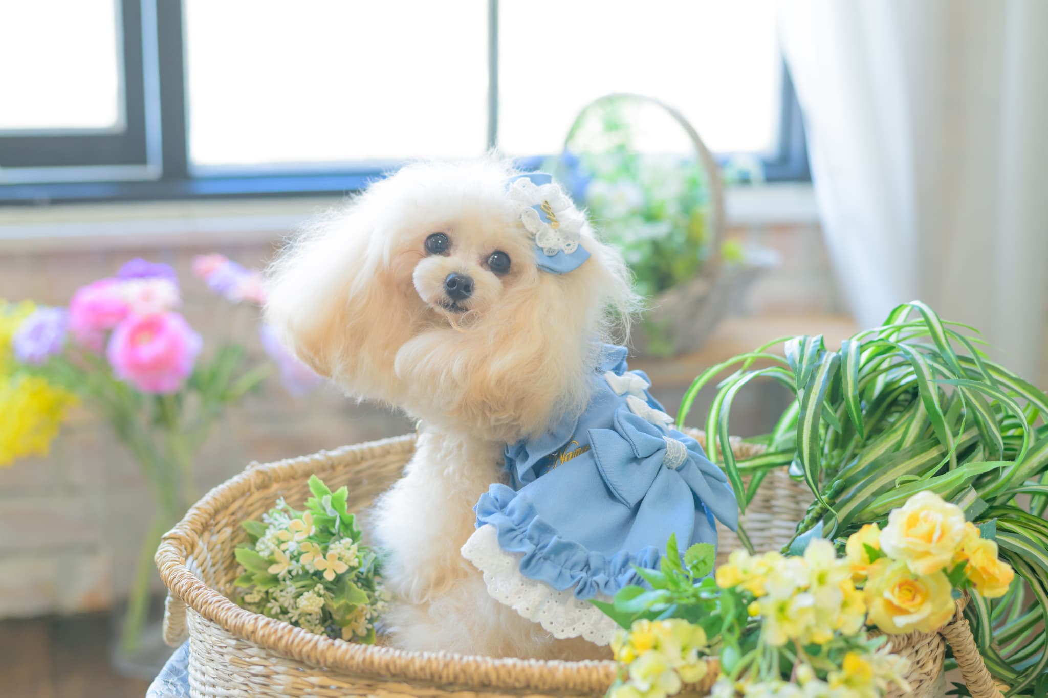 1181ストレッチデニムキャミワンピース