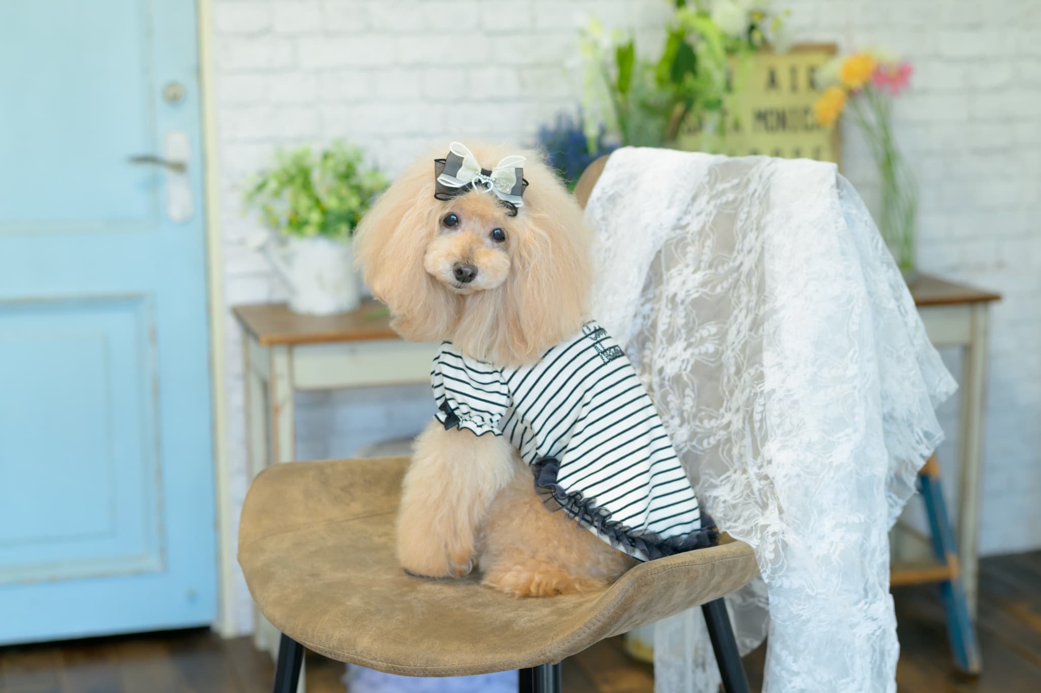 1185ﾛｺﾞﾗｲﾝｽﾄｰﾝﾎﾞｰﾀﾞｰｶｯﾄｿｰ