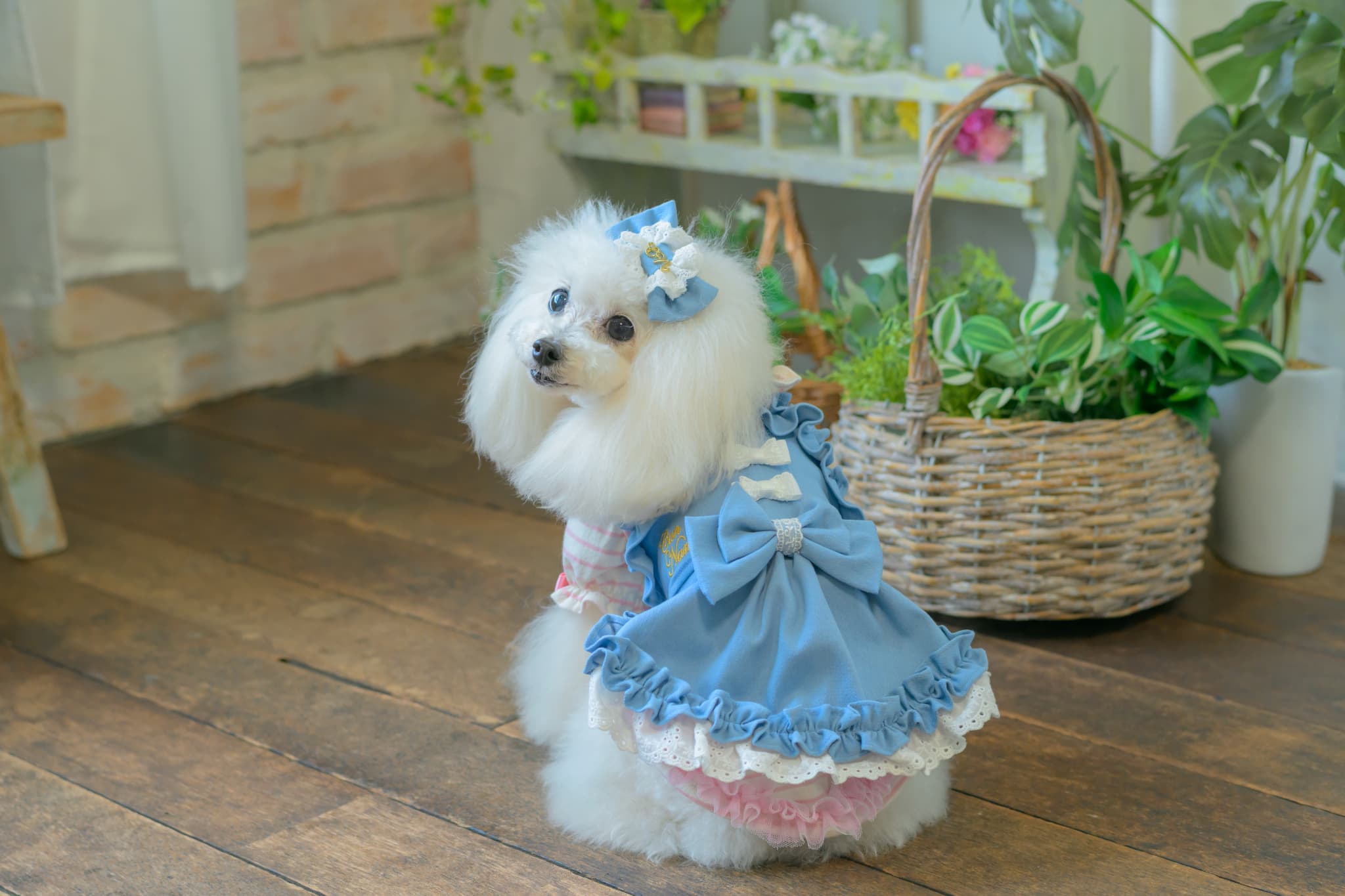 1181ストレッチデニムキャミワンピース