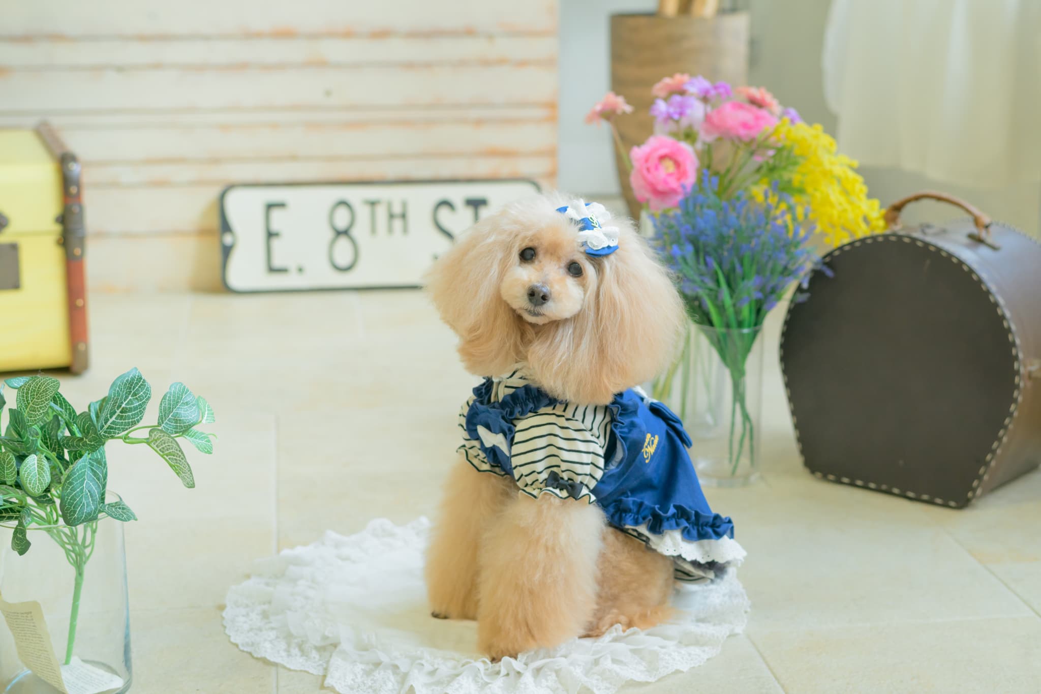 1185ﾛｺﾞﾗｲﾝｽﾄｰﾝﾎﾞｰﾀﾞｰｶｯﾄｿｰ