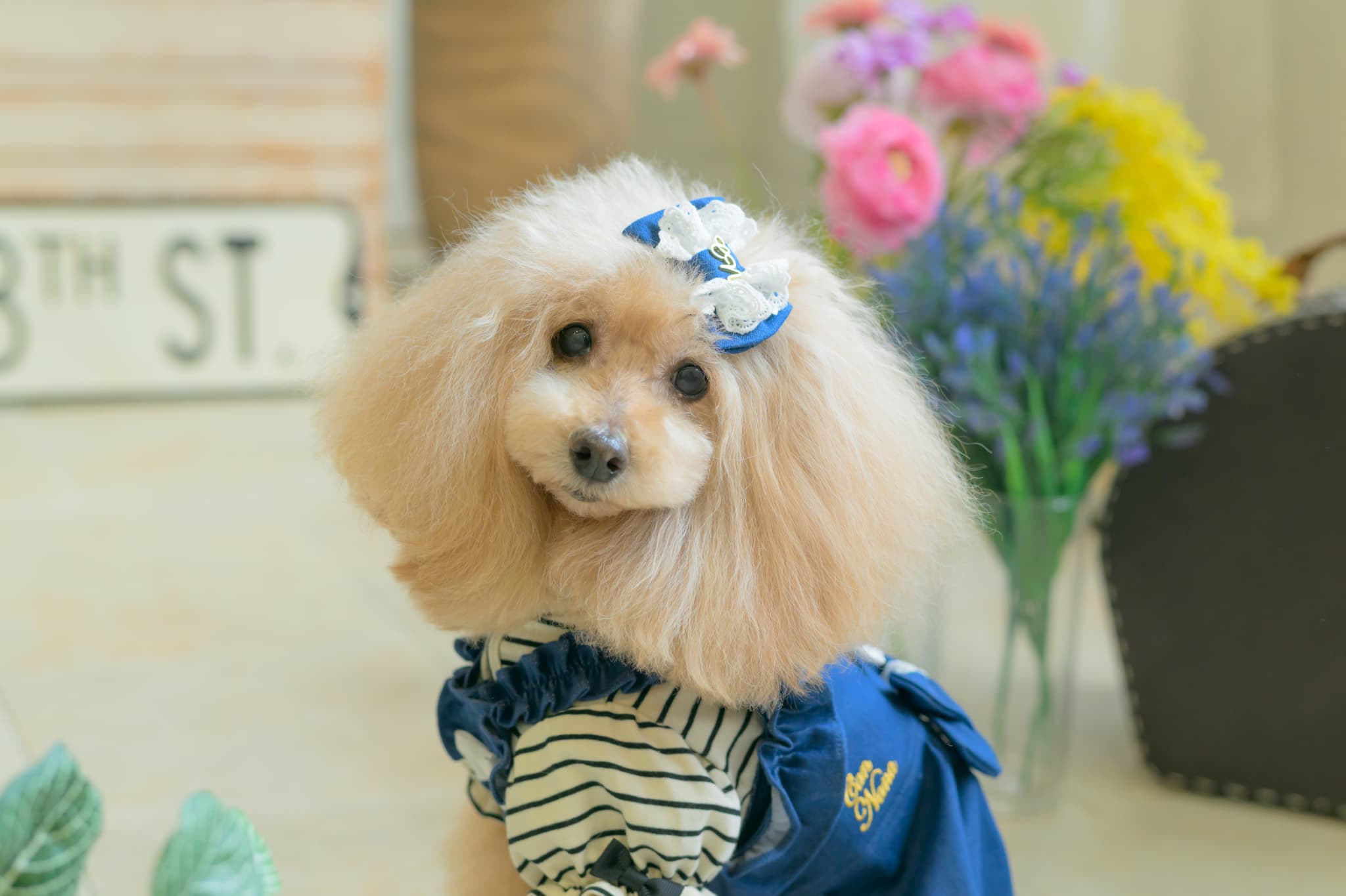 1185ﾛｺﾞﾗｲﾝｽﾄｰﾝﾎﾞｰﾀﾞｰｶｯﾄｿｰ