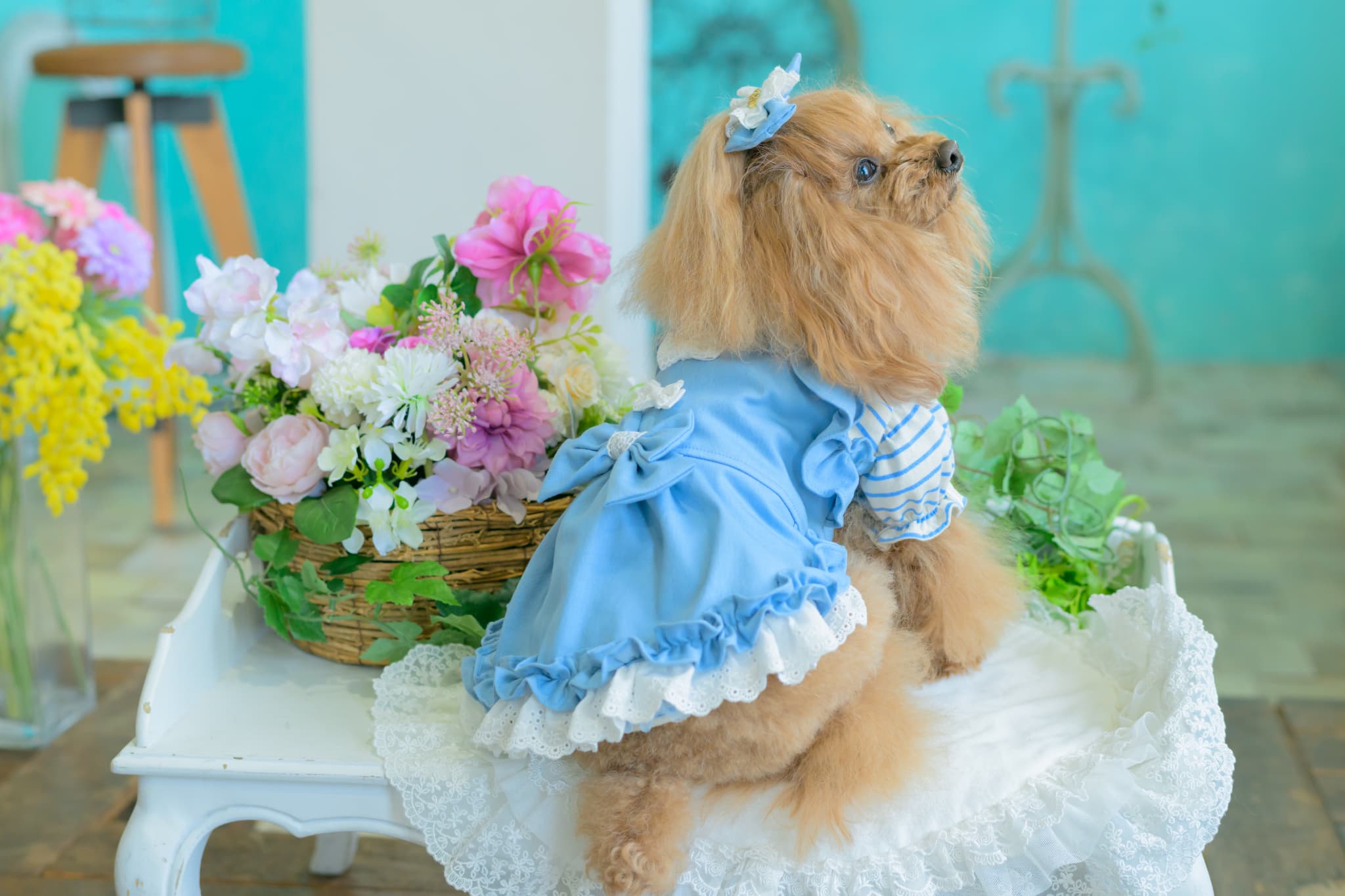 1181ストレッチデニムキャミワンピース