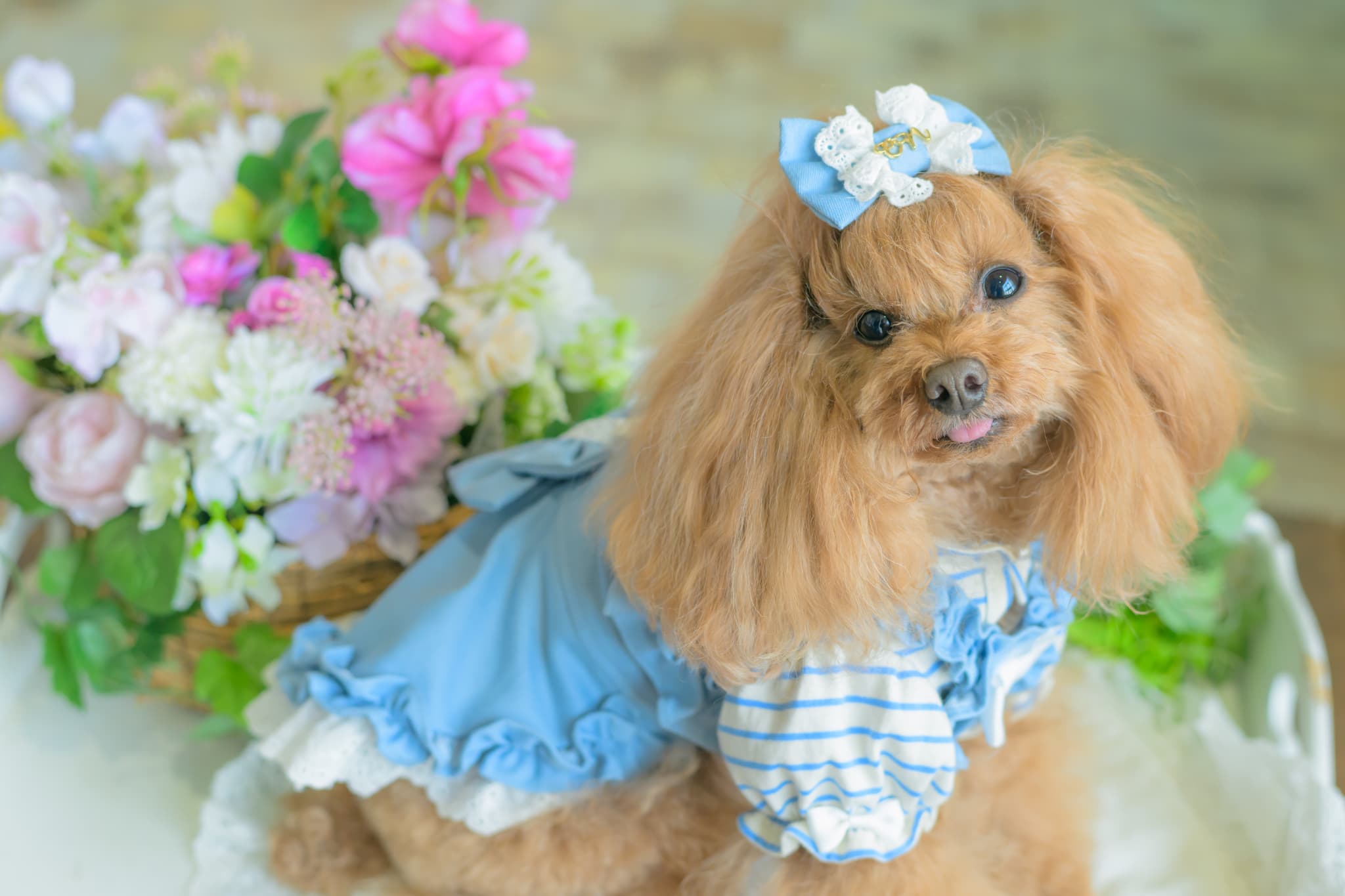 1181ストレッチデニムキャミワンピース