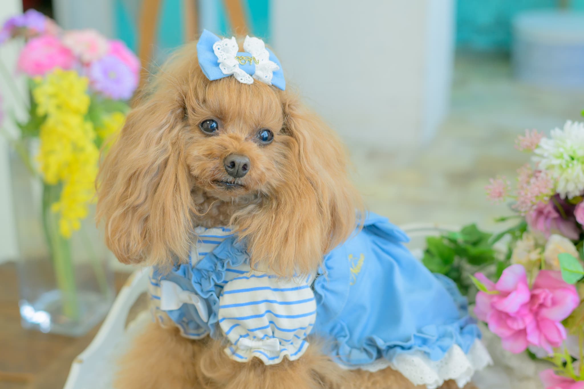 1185ﾛｺﾞﾗｲﾝｽﾄｰﾝﾎﾞｰﾀﾞｰｶｯﾄｿｰ