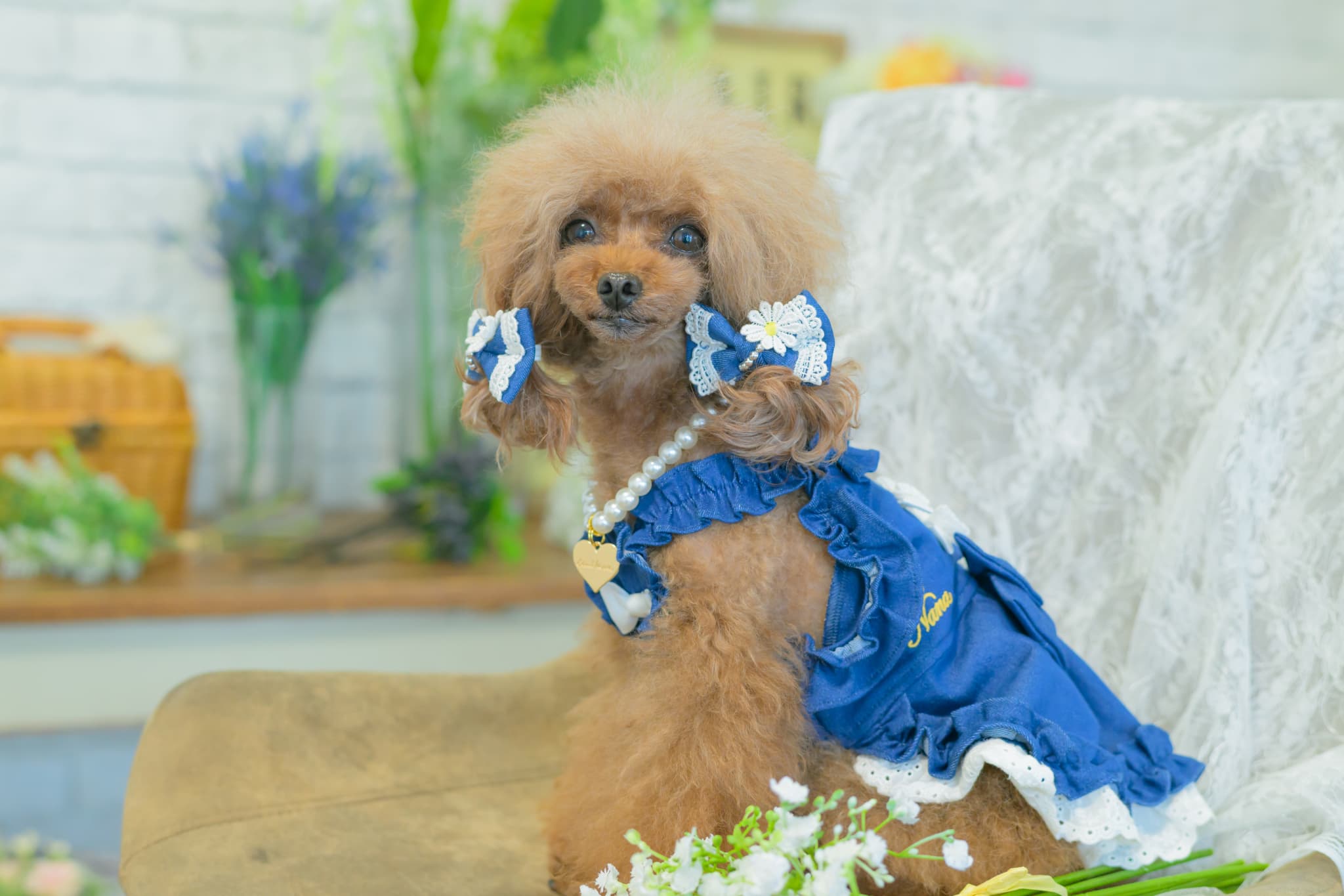 LB-336 ﾃﾞﾆﾑ＆ﾌﾗﾜｰ ﾐﾆﾊﾞﾚｯﾀ