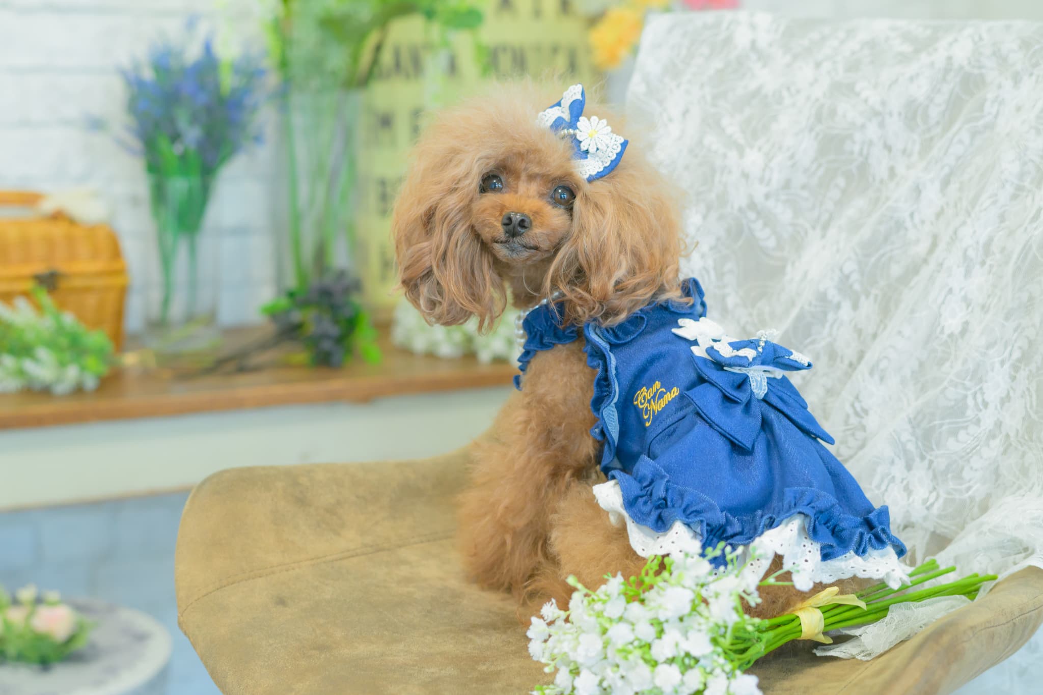 LB-336 ﾃﾞﾆﾑ＆ﾌﾗﾜｰ ﾐﾆﾊﾞﾚｯﾀ