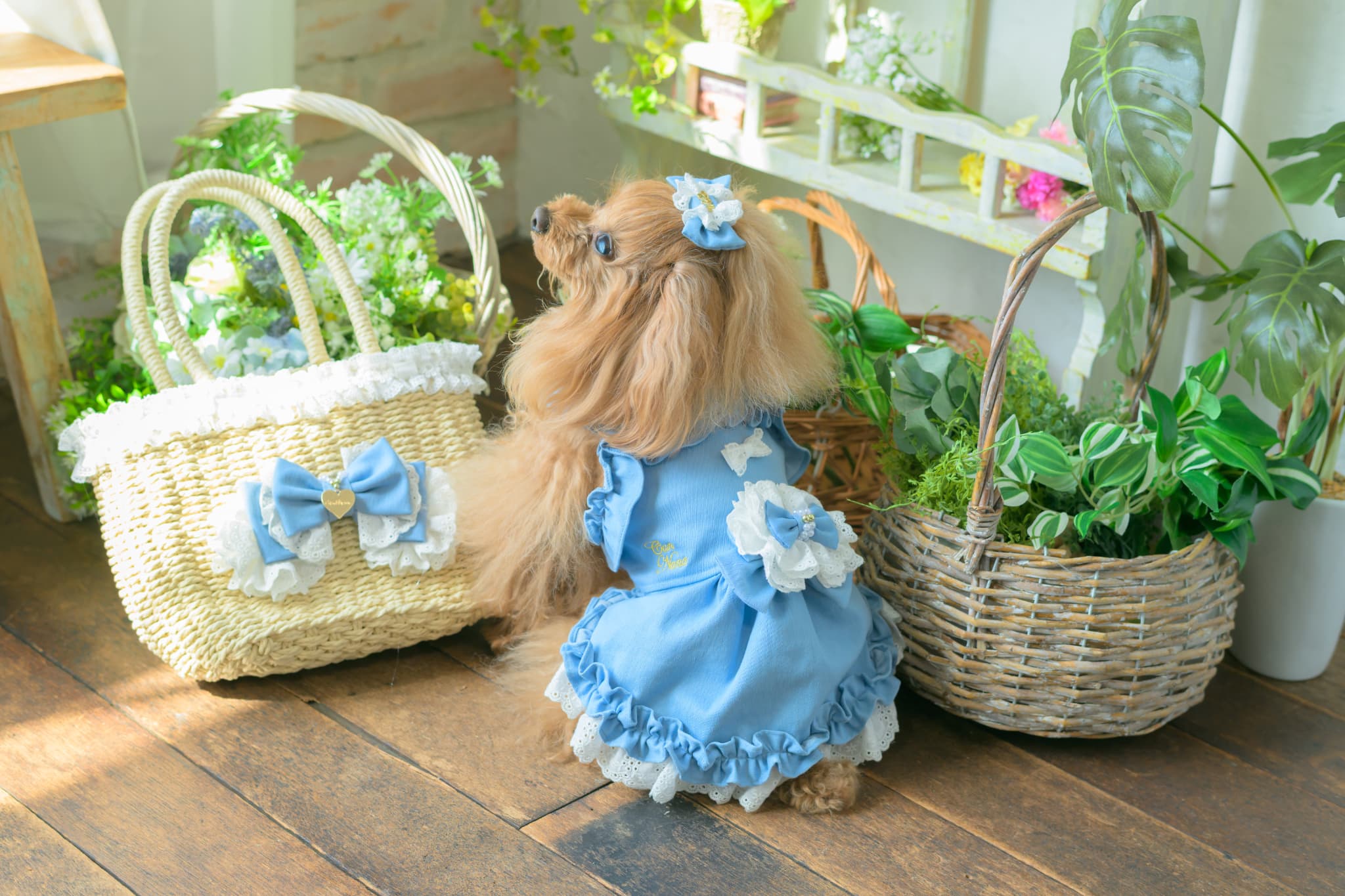 BK-008ﾃﾞﾆﾑﾊﾞﾚｯﾀ付きかごﾊﾞｯｸﾞ