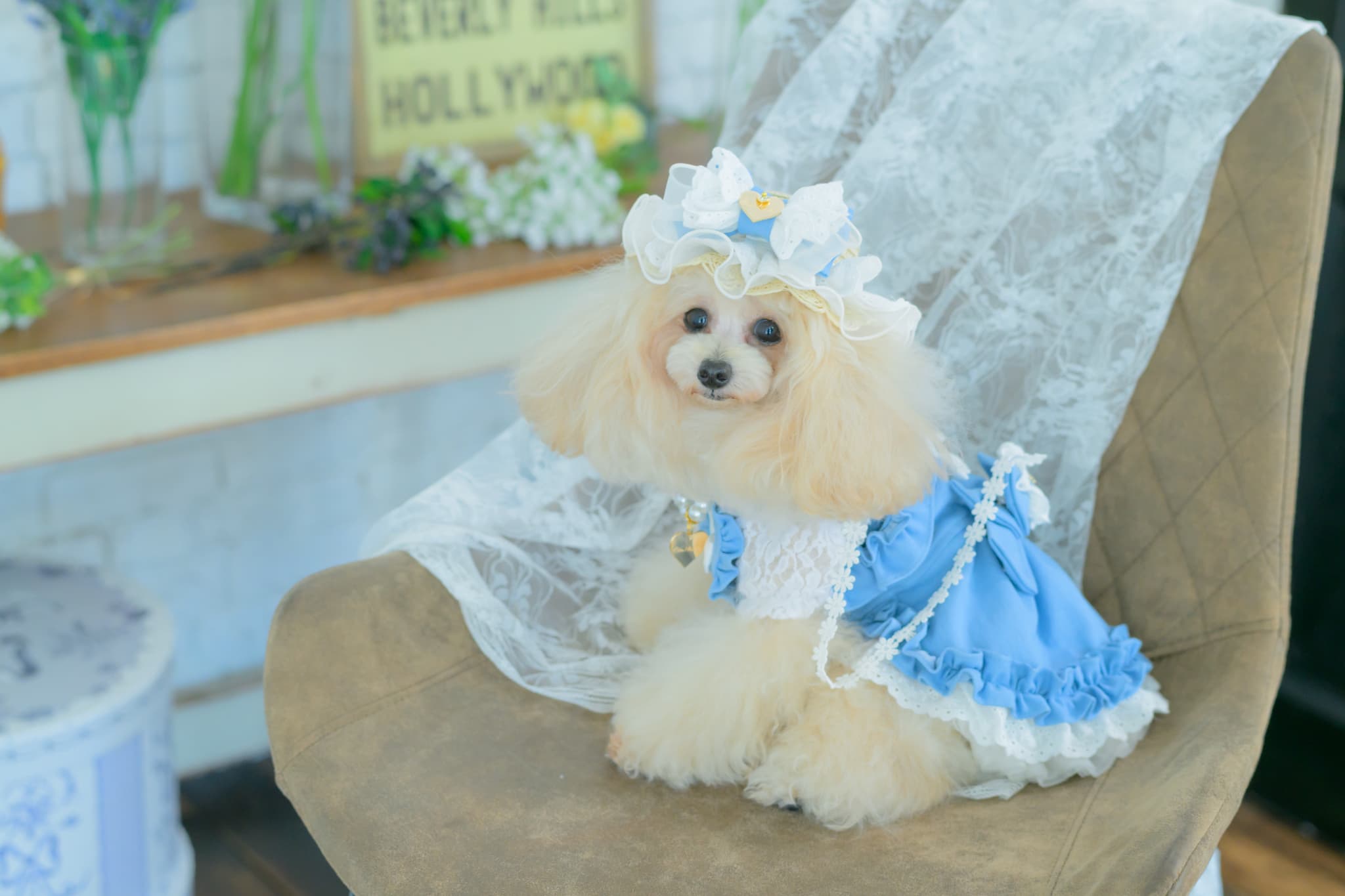 LH-016ﾃﾞﾆﾑﾊﾞﾚｯﾀ付麦わら帽子